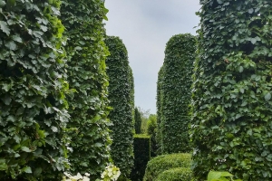 09