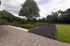 lavendel-blauwendraat