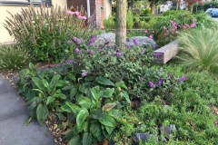 satter-levende-tuin