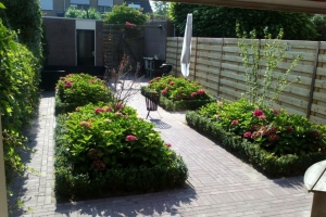 Tuinverzorging De Bergden Hoekse-Waard - Heinenoord (7)
