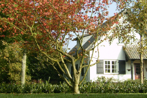 home2