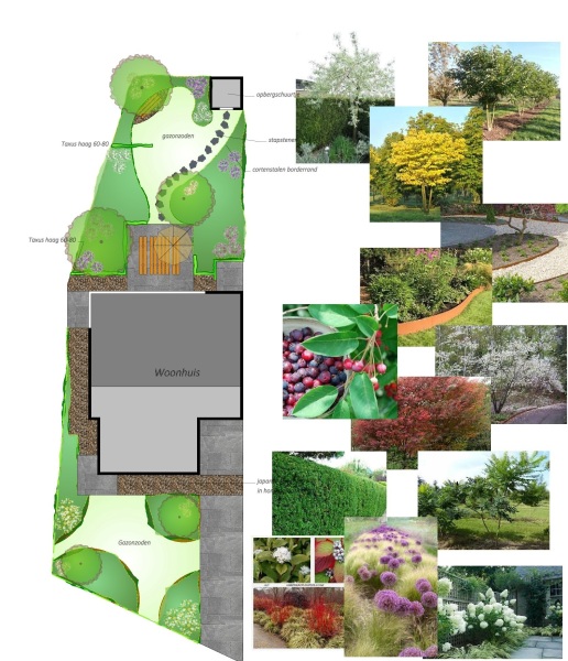 achtertuin-met-organische-vormen-2D-ontwerp