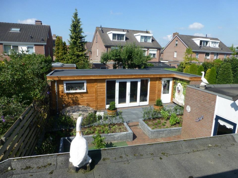 b_patrijs_raalte