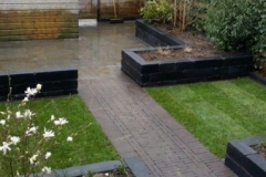 e_argusvlinder_apeldoorn