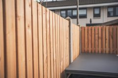 DSC01559-scaled