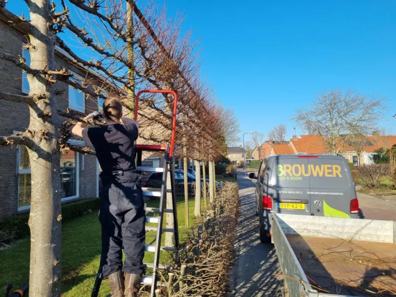 Brouwer-Tuin-en-Boom-Hovenier-Leeuwarden1