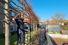 Brouwer-Tuin-en-Boom-Hovenier-Leeuwarden1