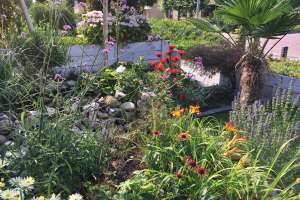 voortuin bloeiende planten Corné Tuinen