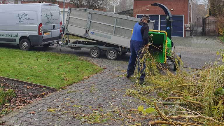 tuin_onderhoud_snoeien_de_nijs_hoveniers_zuidbroek_kl