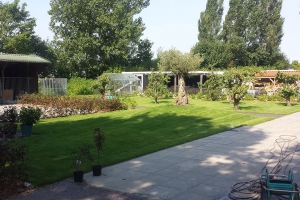 Tuin-Nieuwe-Tonge_De-Waal_2014538