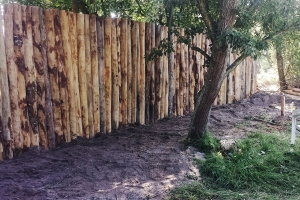 aanleg-tuin_de-waal_162849