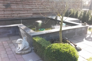 20150310_152907