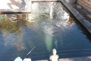 20150310_152827