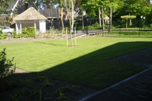 Foto0173