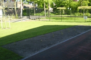Foto0174