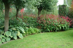 DSC02090