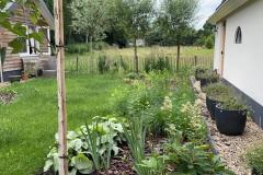 8.tuin-loenen-zijkant-tuin-herinrichting-en-aankleding-en-gras-aanleg