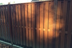 Tuinafscheidingen5