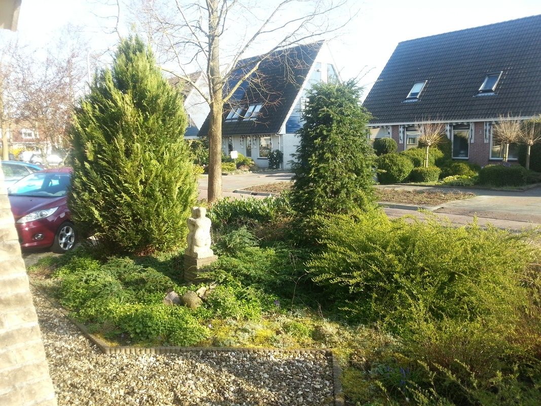 02_Renovatie_voortuin_te_Koudum_20140325_092153