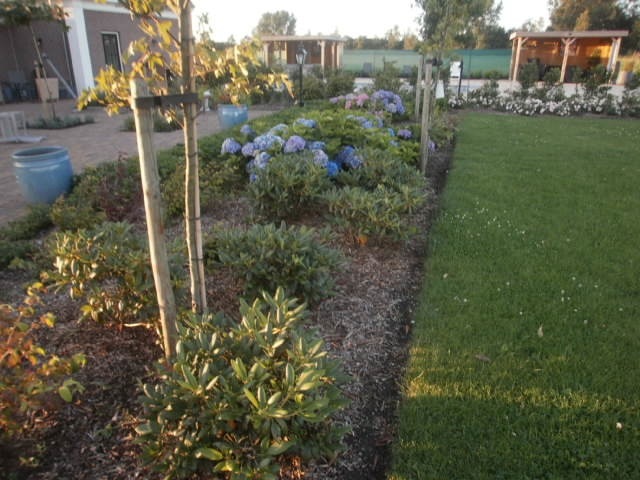 landelijke-tuin-aanleg-201