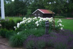 tuinonderhoud11