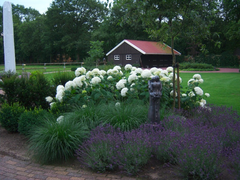 tuinonderhoud11