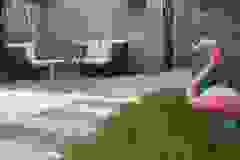 261973268_422399499295777_4543210939681754906_n-1