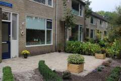 renovatievoortuin-7