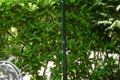 tuin verlichting