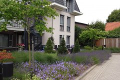 bedrijfstuin13
