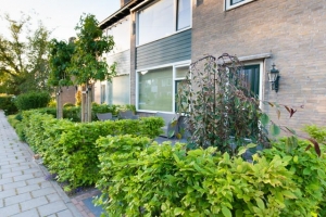Tuinreportage in Uithoorn voor Van Der Linden Tuinen door Caroline Piek Photography