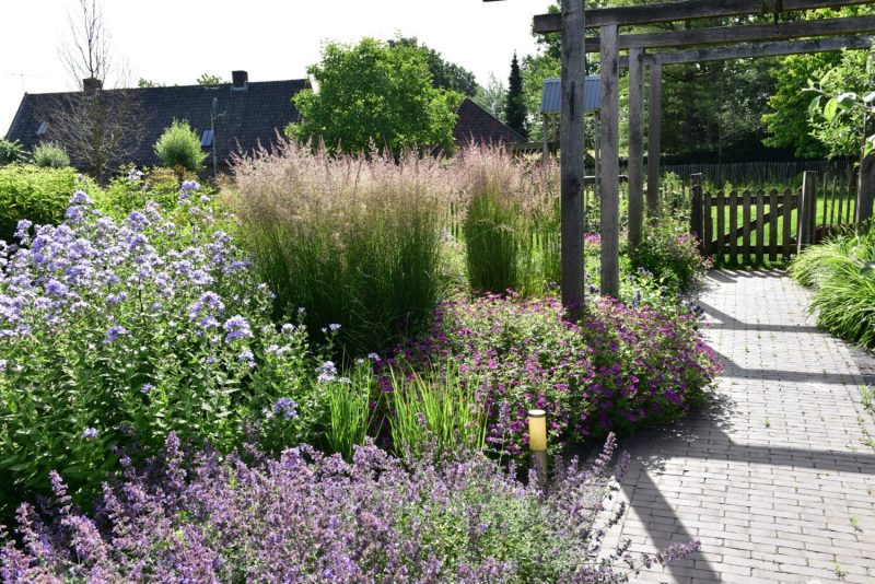 Paul-Swinkels-Hovenier-Aanleg-Tuin-Helmond-1