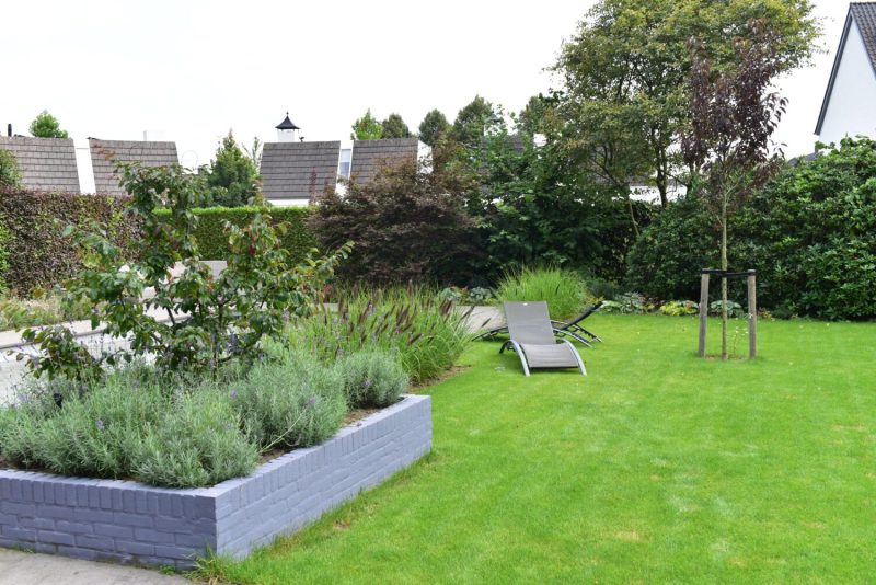 Paul-Swinkels-Hovenier-Helmond-Zwembad-Tuin-aanleg-4