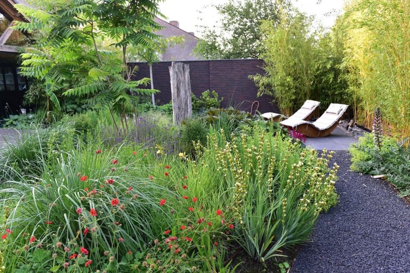 Paul-Swinkels-Hoveniersbedrijf-Aanleg-Jungle-tuin-2