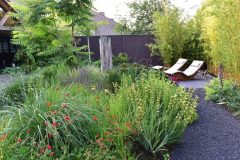 Paul-Swinkels-Hoveniersbedrijf-Aanleg-Jungle-tuin-2
