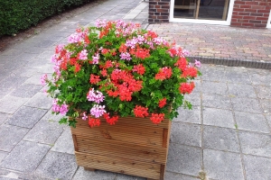 houten-bloembakken