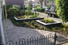 tuin