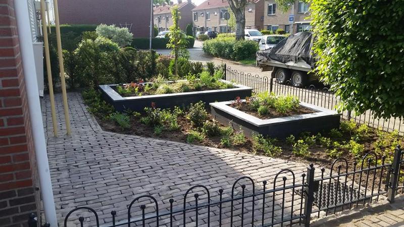 tuin
