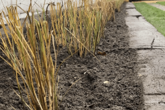 Tuin-afscheiding