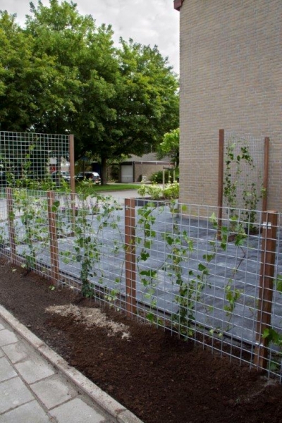 tuin710