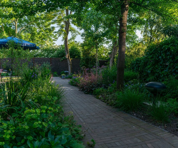 DSC_0839-2-Pano