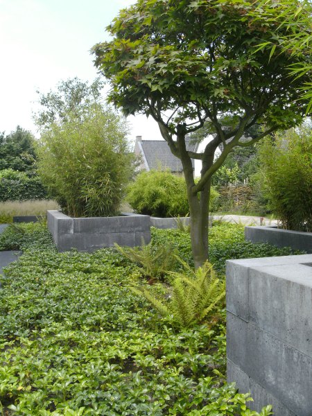 Moderne-tuin-1_01