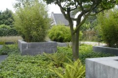 Moderne-tuin-1_01