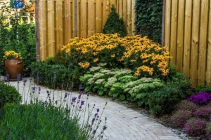 Tuin-aanplant-bloei