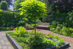 20180627_112553_IMG_0208_A