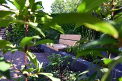 Optimized-20180507_160519_IMG_8389