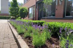 Voortuin-2
