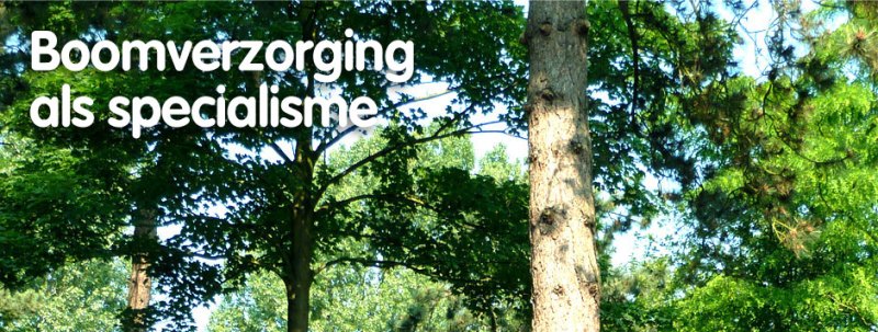 header_boomverzorging