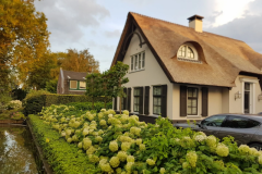 Michiels-Tuinen-tuinontwerp-villa.jpg