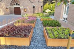 aanleg-tuin-schalm-marienheem-16-1024x768